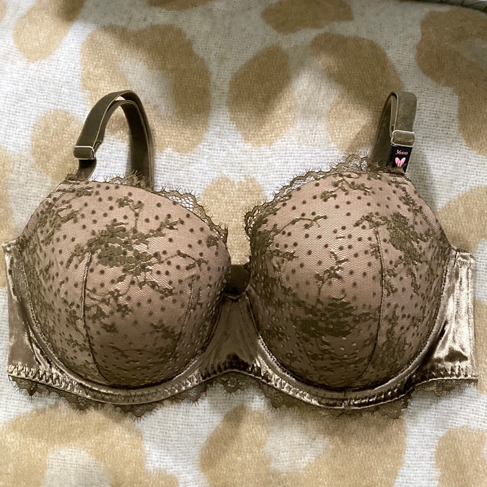 Victoria’s Secret dream angels lined Demi